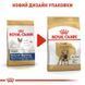 Royal Canin (Роял Канин) French Bulldog 26 Adult - Сухой корм для взрослых Французских Бульдогов, 1,2 кг + 300 г