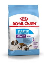 Royal Canin (Роял Канін) Giant Starter Mother&Babydog - Сухий корм для цуценят і годуючих самок гігантських порід 1 кг