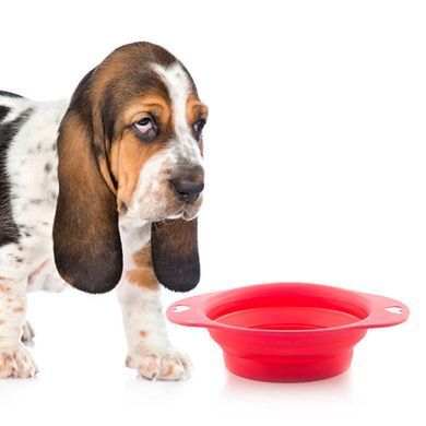 Koopman (Купмен) Dogs Collection Collapsible Bowl - Миска складная силиконовая для собак с двумя ручками 350 мл Цвета в ассортименте