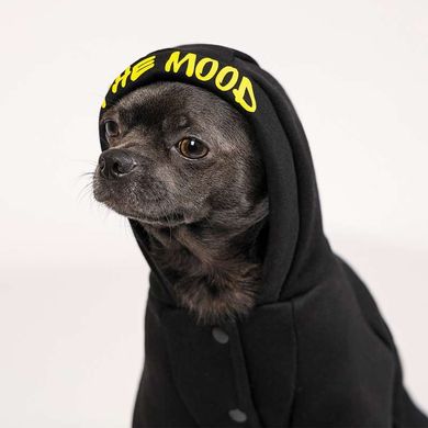 Pet Fashion (Пет Фешн) The Mood Flash - Костюм для собак (чорний) M (33-36 см)
