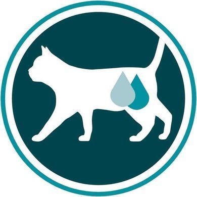 Purina ONE (Пуріна Ван) ADULT - Пауч для дорослих кішок з куркою і зеленою квасолею 85 г