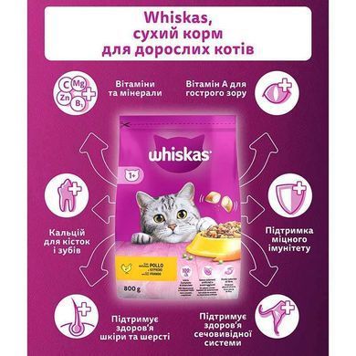 Whiskas (Вискас) - Сухой корм с курицей для кошек, 300 г