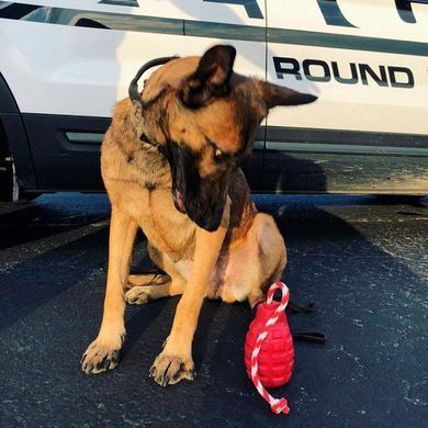 SodaPup (Сода Пап) USA-K9 Grenade Reward Toy &ndash; Жевательная игрушка-диспенсер для лакомств Граната с канатом из суперпрочного материала для собак M Красный