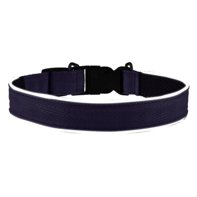 AnimAll VetLine (ЕнімАлл ВетЛайн) Double Guard - Нашийник з протипаразитарною стрічкою, 20 мм, 320 - 400 мм, пурпурний