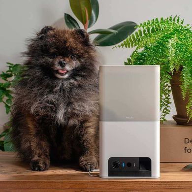 Petcube (Петкуб) Bites 2 lite - Інтерактивний пристрій для спілкування з домашнім улюбленцем, 14,48х7,62х26,92 см