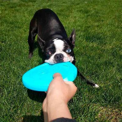 West Paw (Вест Пау) Zisc Flying Disc - Іграшка фрісбі для собак 17 см Помаранчевий