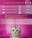 Whiskas (Вискас) - Сухой корм с курицей для кошек, 300 г