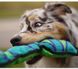 Outward Hound (Аутвард Хаунд) Invincibles Snakes - Іграшка-пищалка для собак Непереможна змія 12,7х178 см Блакитний