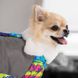 Pet Fashion (Пет Фешн) The Mood Amaze - Комбінезон для собак (градієнт з принтом) XS (23-26 см)