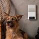 Petcube (Петкуб) Bites 2 lite - Інтерактивний пристрій для спілкування з домашнім улюбленцем, 14,48х7,62х26,92 см