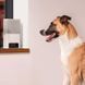 Petcube (Петкуб) Bites 2 lite - Інтерактивний пристрій для спілкування з домашнім улюбленцем, 14,48х7,62х26,92 см