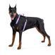 Collar (Коллар) WAUDOG Nylon - Шлея для собак безпасная с QR паспортом, металлическая пряжка-фастекс, фиолетовая, размер L