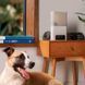 Petcube (Петкуб) Bites 2 lite - Інтерактивний пристрій для спілкування з домашнім улюбленцем, 14,48х7,62х26,92 см