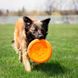 West Paw (Вест Пау) Zisc Flying Disc - Игрушка фрисби для собак 17 см Оранжевый