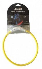 AnimAll (ЭнимАлл) Collar LED - Светящийся ошейник для кошек и собак с водоотталкивающим покрытием 35 см Салатовый