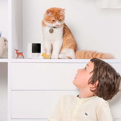 Petcube (Петкуб) Сam - Інтерактивний куб для взаємодії з домашніми тваринами, 10х10х10 см