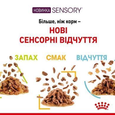 Royal Canin (Роял Канин) Sensory Smell in Jelly &ndash; Влажный корм с мясом и рыбой для взрослых кошек, стимулирующий обонятельные рецепторы (кусочки в желе) 85 г