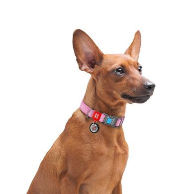 Collar (Коллар) WAUDOG Re-cotton - Нашийник світло-відбиваючий для собак з відновленої бавовни 1,5х23-35 см Рожевий