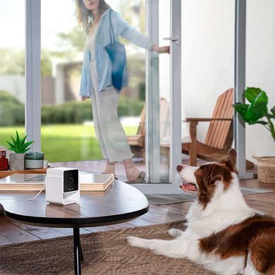 Petcube (Петкуб) Сam - Інтерактивний куб для взаємодії з домашніми тваринами, 10х10х10 см