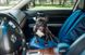 Haustier Happy Travel Авточохол для собак на передньому сидінні автомобіля