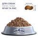Club 4 Paws (Клуб 4 Лапы) Premium Adult Small Breed Lamb - Сухой корм с ягненком для взрослых собак малых пород, 900 г