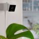 Petcube (Петкуб) Сam - Інтерактивний куб для взаємодії з домашніми тваринами, 10х10х10 см