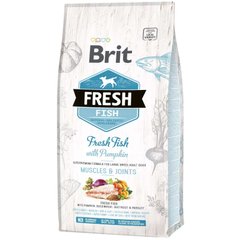 Brit (Брит) Fresh Fish Pumpkin Adult Large - Сухой корм с рыбой и тыквой для взрослых собак крупных пород 2,5 кг