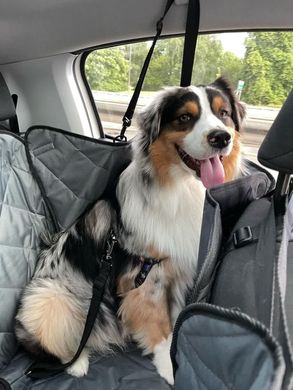 HARLEY & CHO (Харлі енд Чо) Saver - Автогамак для собак в машину на одне сидіння