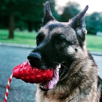 SodaPup (Сода Пап) Usa-K9 Grenade Reward Toy &ndash; Жевательная игрушка-диспенсер для лакомств Граната с канатом из суперпрочного материала для собак, Синий, M