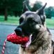 SodaPup (Сода Пап) Usa-K9 Grenade Reward Toy &ndash; Жевательная игрушка-диспенсер для лакомств Граната с канатом из суперпрочного материала для собак, Синий, M