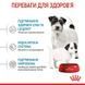 Royal Canin (Роял Канин) Mini Starter Mother&Babydog - Сухой корм для щенков до 2-х месяцев, 1 кг