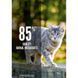 Orijen (Ориджен) Original Cat (Cat&Kitten) &ndash; Сухой корм с мясом птицы и рыбы для котят и кошек, 340 г