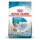 Royal Canin (Роял Канин) Mini Starter Mother&Babydog - Сухой корм для щенков до 2-х месяцев, 1 кг