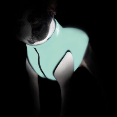 WAUDOG (Ваудог) AiryVest Lumi - Двостороння курточка, що світиться в темряві для собак (салатова/помаранчева) S35 (32-35 см)