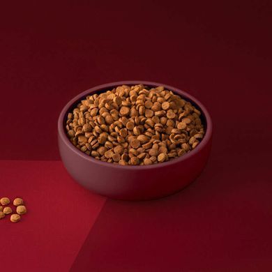 Cherie (Шери) Healthy Skin and Coat Salmon Entrеes - Беззерновой сухой корм с лососем для поддержки здоровья кожи и шерсти кошек, 400 г