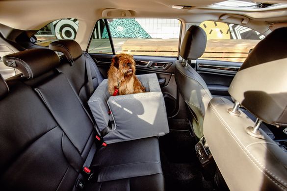 HARLEY & CHO (Харли энд Чо) Discovery - Автомобильное кресло для собак