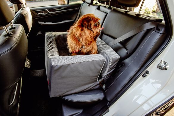 HARLEY & CHO (Харлі енд Чо) Discovery - Автомобільне крісло для собак