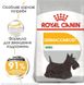 Royal Canin (Роял Канин) Mini Dermacomfort - Сухой корм для собак с чувствительной кожей, склонной к раздражениям 3 кг