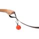 Dexas (Дексас) Off-Leash - Игрушка мяч с карабином для собак ⌀ 7 см Оранжевый