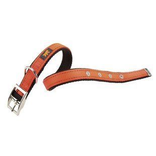 Ferplast (Ферпласт) Dual CF colours - Нашийник нейлоновий для собак 1,5х27-35 см Фіолетовий