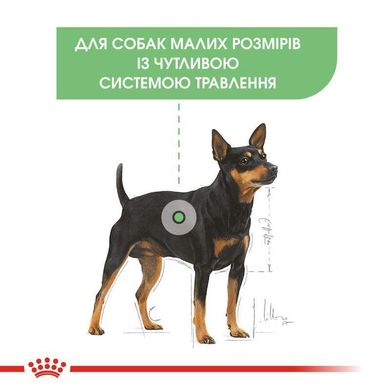 Royal Canin (Роял Канин) Mini Digestive care (Sensible) - Сухой корм для собак с чувствительным пищеварением 1 кг