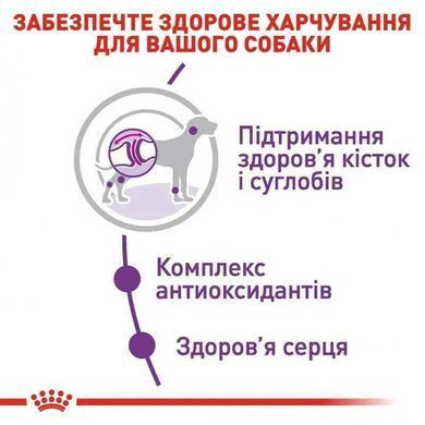 Royal Canin (Роял Канин) Giant Adult - Сухой корм для взрослых собак больших размеров, 15 кг