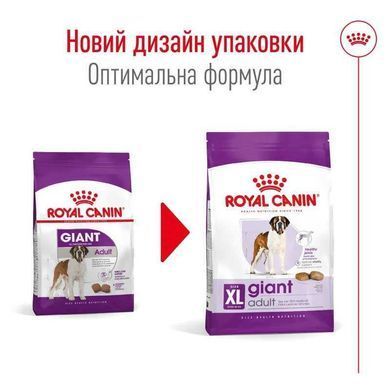 Royal Canin (Роял Канин) Giant Adult - Сухой корм для взрослых собак больших размеров, 15 кг