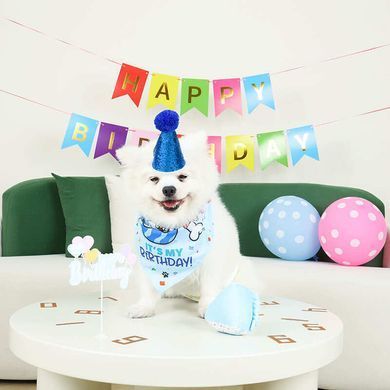 M-Pets (М-Петс) Party Time Dog Gentlemans set &ndash; Набор Джентльмен для празднования Дня рождения собаки, Разноцветный, 20х20х7 см