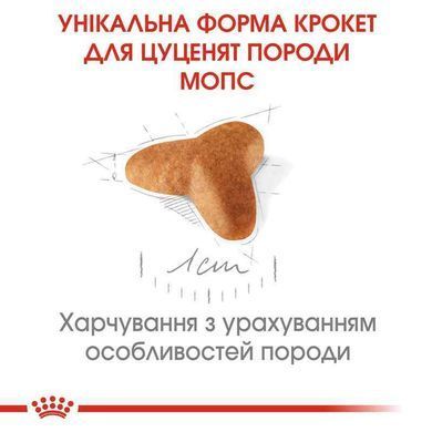Royal Canin (Роял Канин) Pug Puppy - Сухой корм с мясом птицы для щенков породы мопс, 1,5 кг