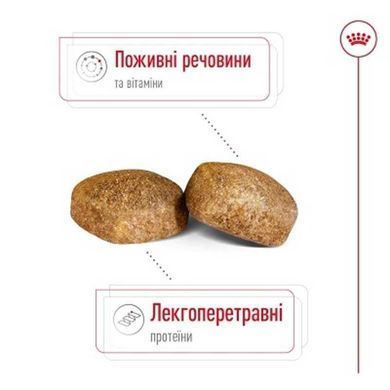 Royal Canin (Роял Канин) Giant Adult - Сухой корм для взрослых собак больших размеров, 15 кг