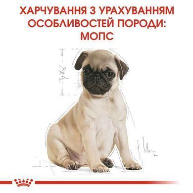 Royal Canin (Роял Канин) Pug Puppy - Сухой корм с мясом птицы для щенков породы мопс, 1,5 кг