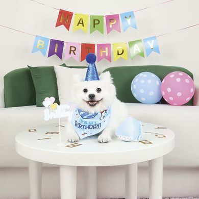 M-Pets (М-Петс) Party Time Dog Gentlemans set &ndash; Набор Джентльмен для празднования Дня рождения собаки, Разноцветный, 20х20х7 см
