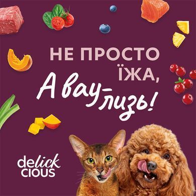 Delickcious (Деликшес) - Лакомство сушеные снеки с говядиной и тыквой для собак, 80 г