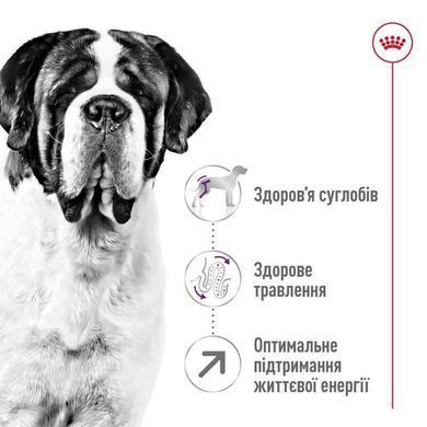 Royal Canin (Роял Канин) Giant Adult - Сухой корм для взрослых собак больших размеров, 15 кг